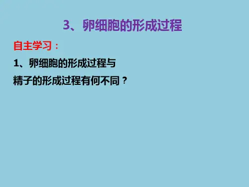 2、卵细胞的形成过程和受精作用