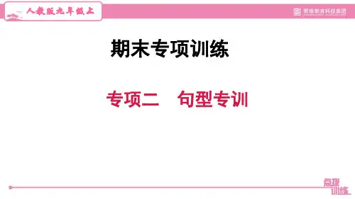 人教版九年级英语上册期末专项二 句型专训