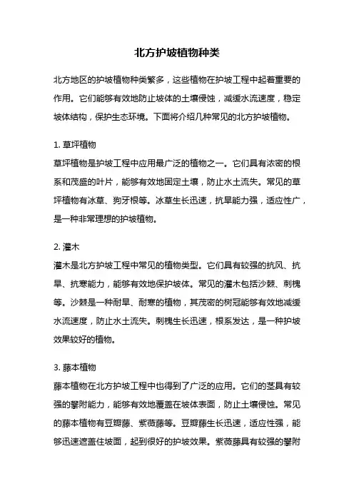 北方护坡植物种类