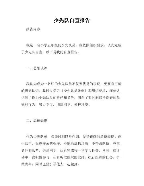 少先队自查报告