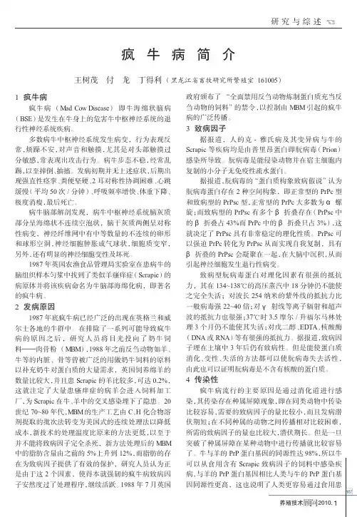 疯牛病简介_王树茂.caj
