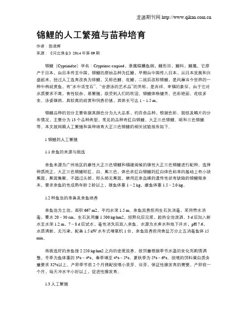 锦鲤的人工繁殖与苗种培育