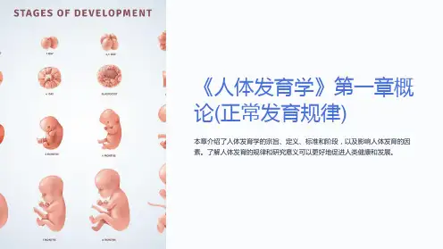 《人体发育学》第一章概论(正常发育规律)
