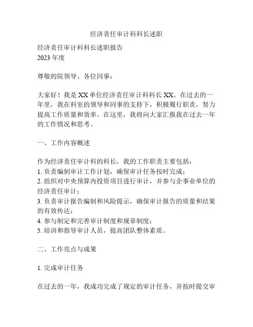 经济责任审计科科长述职
