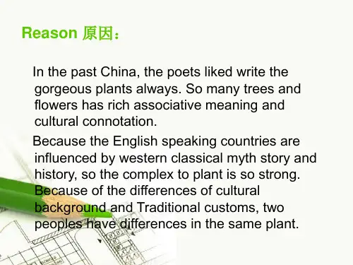 中西方文化差异之植物教案资料