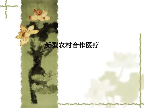 新型农村合作医疗PPT课件