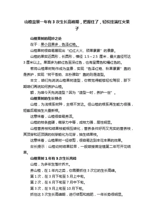 山楂盆景一年有3次生长高峰期，把握住了，轻松挂满红火果子