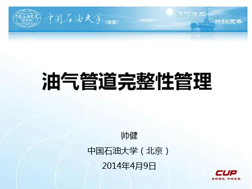 管道完整性管理