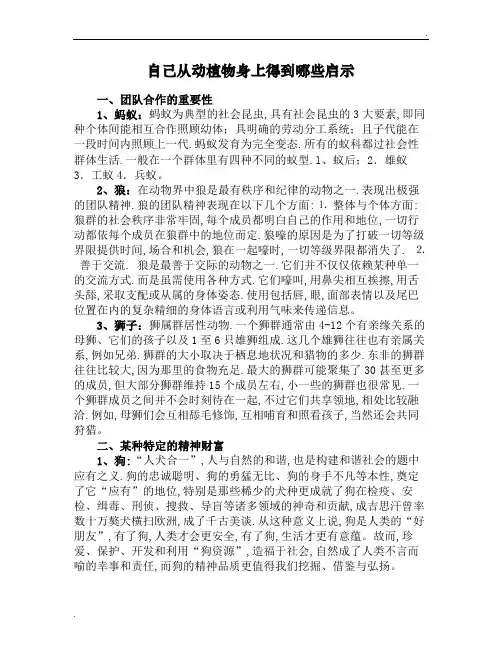 自己从动植物身上得到哪些启示