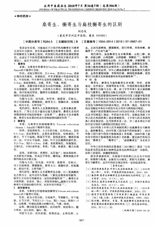桑寄生、槲寄生与扁枝槲寄生的区别