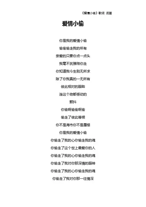 《爱情小偷》歌词 汤潮