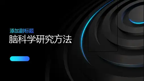 脑科学研究方法