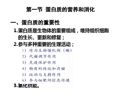 蛋白质代谢ppt课件