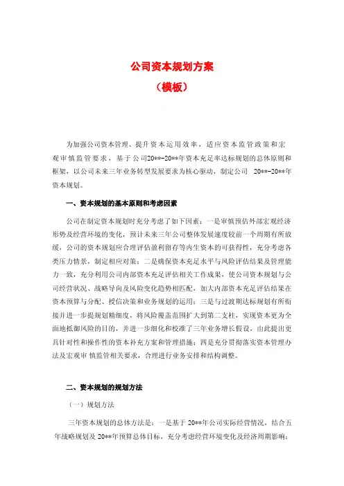 公司资本规划方案(模板)