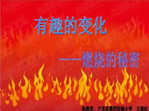 四年级下册科学课件-5-20燃烧的秘密 冀教版共9张PPT