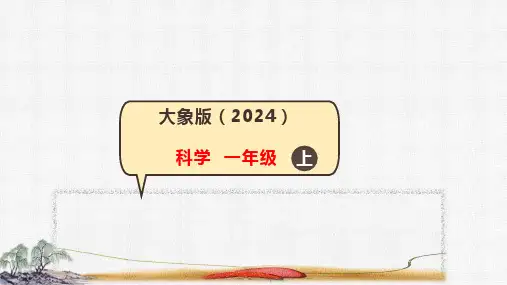 2.1 观察兔子 课件(共27张PPT)