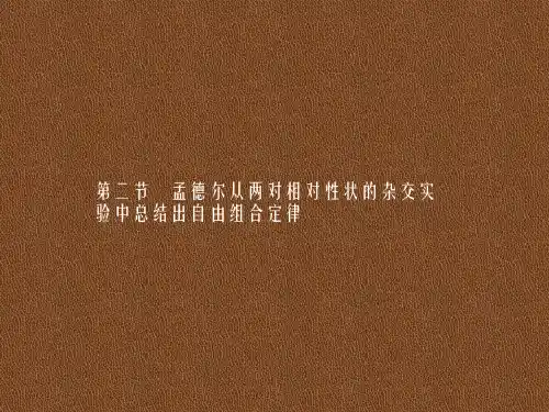 新浙科版必修二孟德尔从两对相对性状的杂交实验中总结出自由组合定律课件(46张)
