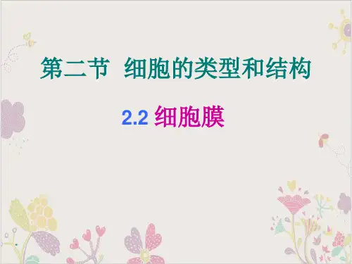 苏教高中生物必修一细胞膜和细胞壁PPT优质版