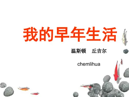 《我的早年生活》ppt课件