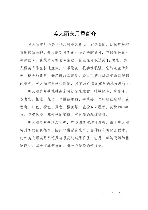 美人丽芙月季简介