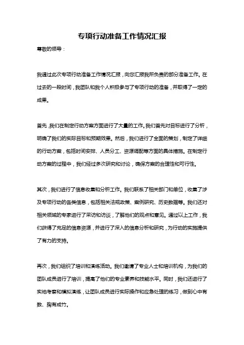 专项行动准备工作情况汇报