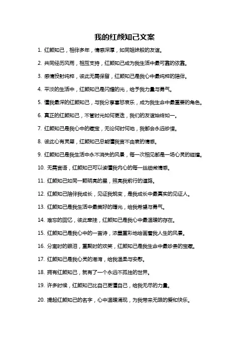 我的红颜知己文案