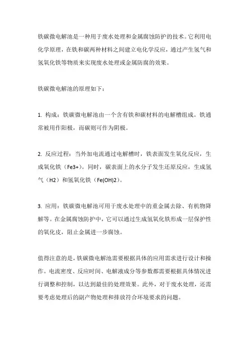 铁碳微电解池