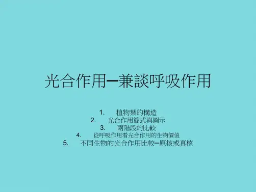 光合作用兼谈呼吸作用(共8张PPT)