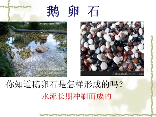 滴水穿石的启示ppt课件