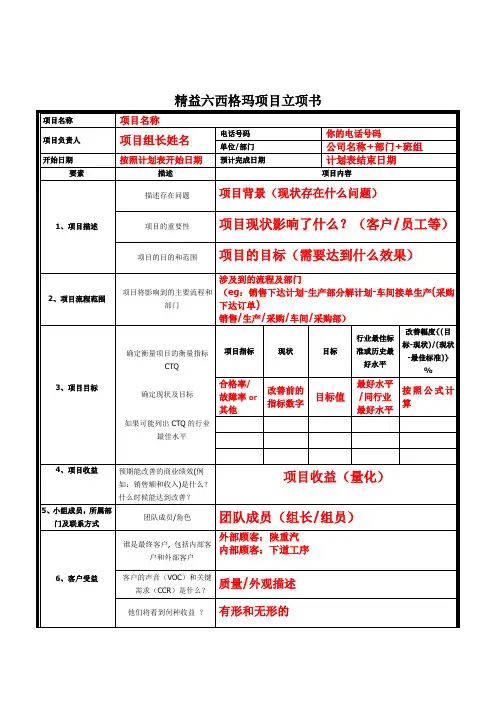 精益六西格玛项目立项书模板