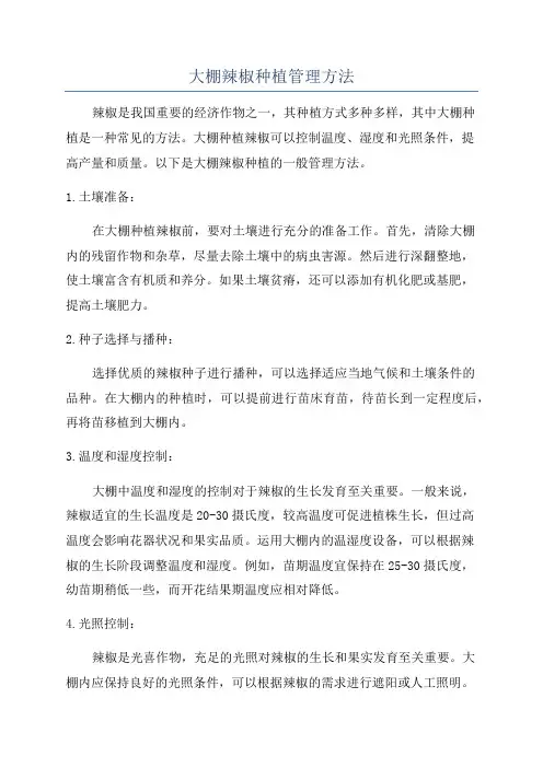 大棚辣椒种植管理方法