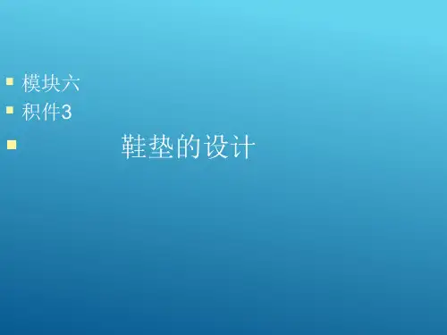 鞋垫样板设计与制作