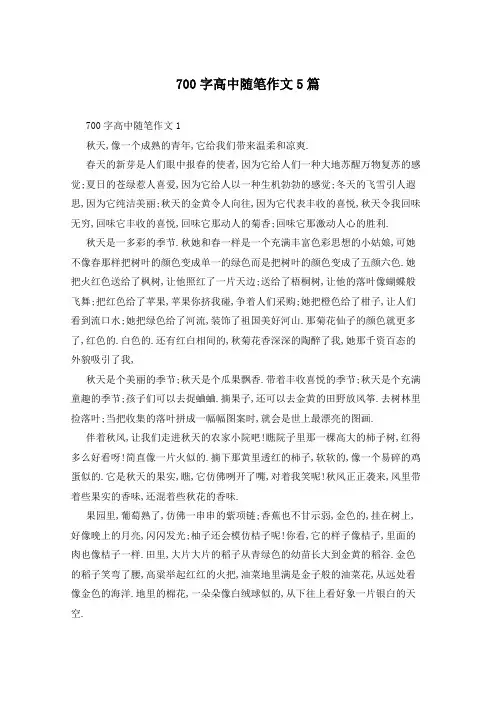 700字高中随笔作文5篇