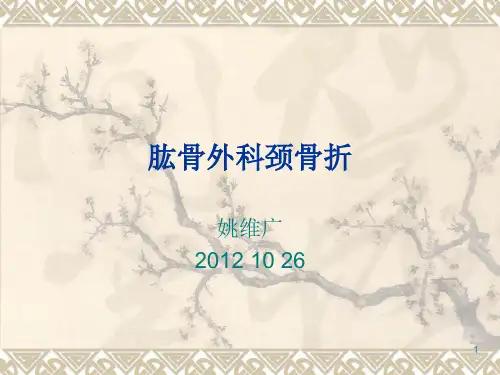 肱骨外科颈骨折护理查房ppt课件