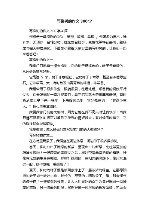 写柳树的作文300字4篇