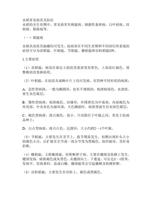 水稻常见病害及防治