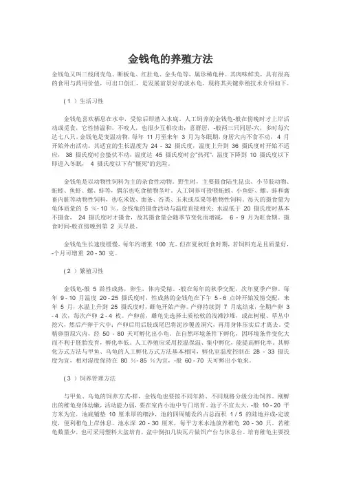 金钱龟饲养指南