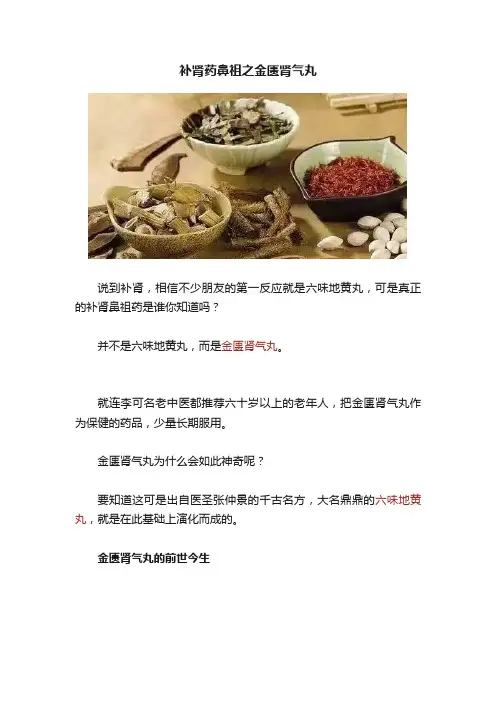 补肾药鼻祖之金匮肾气丸