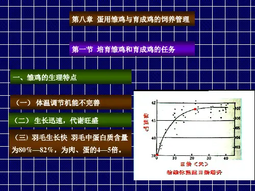 蛋用雏鸡育成鸡的饲养管理