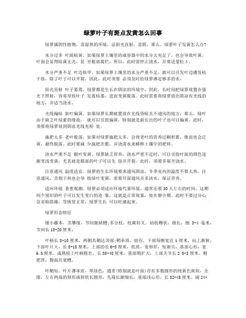 绿萝叶子有斑点发黄怎么回事