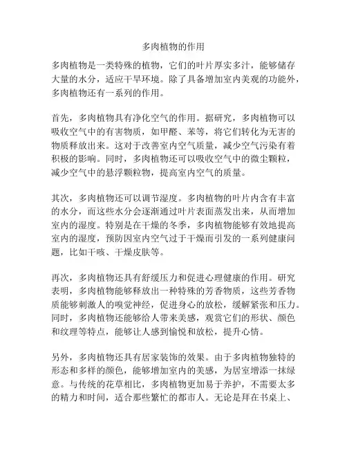 多肉植物的作用