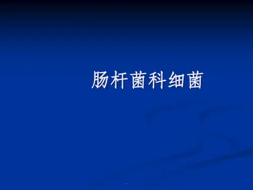 肠杆菌PPT课件