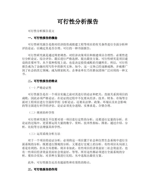 可行性分析报告