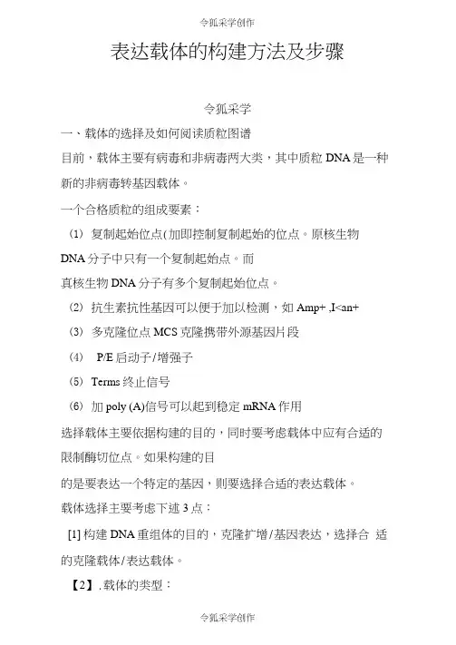 表达载体的构建方法及步骤