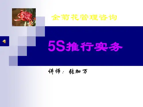 5S管理实务(PPT110页)