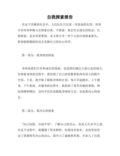 自我探索报告