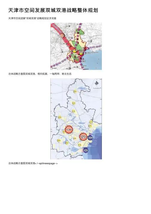 天津市空间发展双城双港战略整体规划