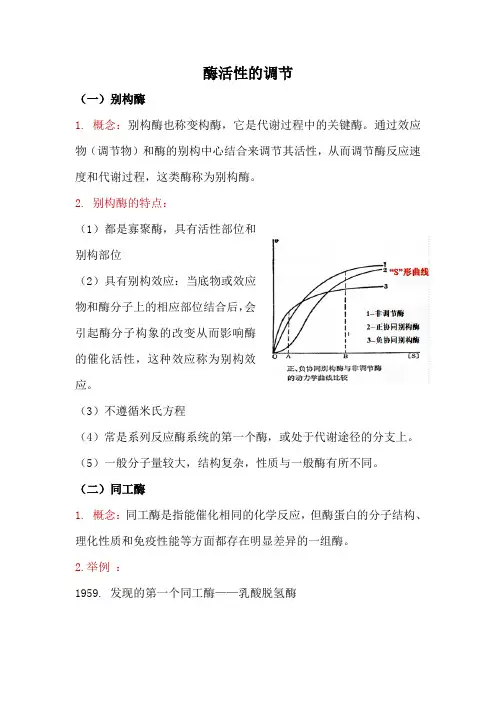 酶活性的调节
