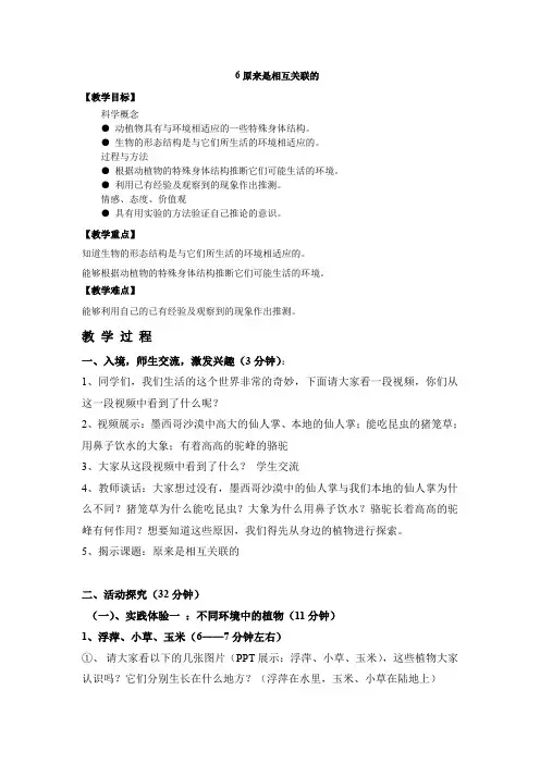 六年级上册科学教案-4.6原来是相互关联的 ｜教科版