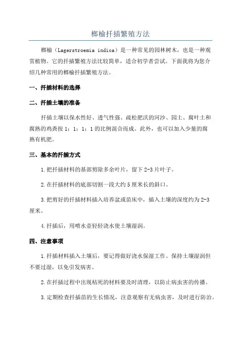榔榆扦插繁殖方法